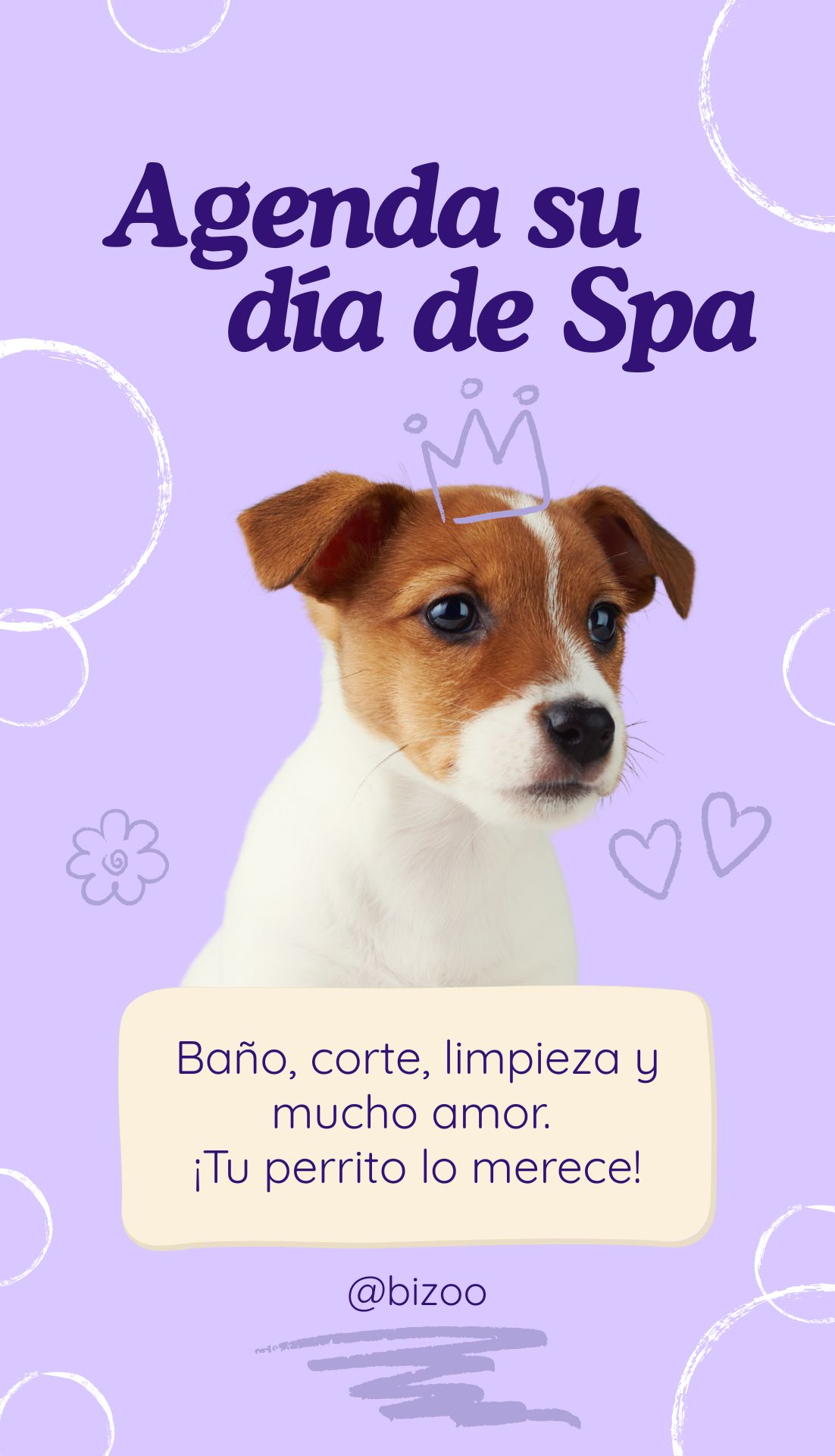 Perro después del baño - Cuidados en Bizoo Veterinaria