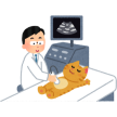 Terapia Láser para mascotas
